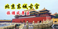 女人骚逼视频男人的加油站中国北京-东城古宫旅游风景区